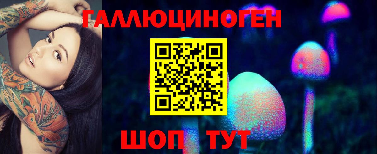 Псилоцибиновые грибы Psilocybe Волгоград